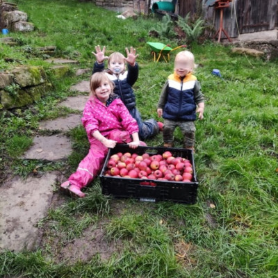 Apfelernte 22 mit Tageskindern Apfelernte 22 mit Tageskindern